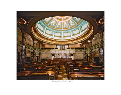 New Capitol - Senate