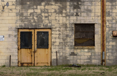 Old Plant Wall 