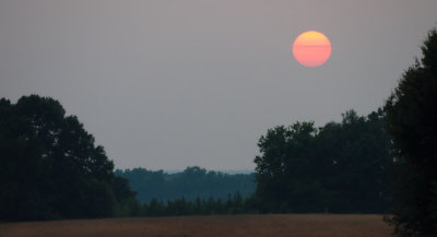 July Sundown in Mississippi