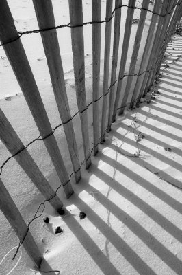 Erosion Fence on Beach