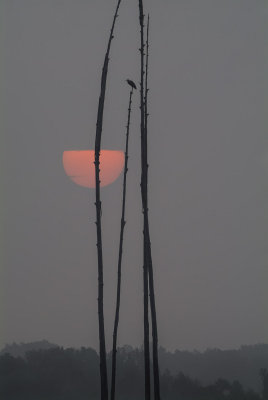 Sunrise Over Moonrise Bay 
