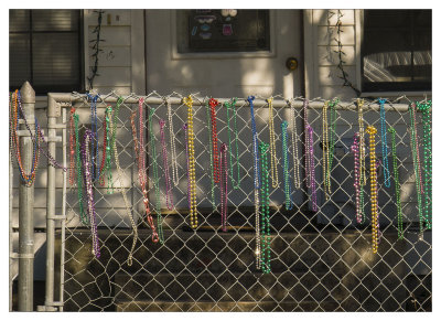 Back Bay Mardi Gras Beads  