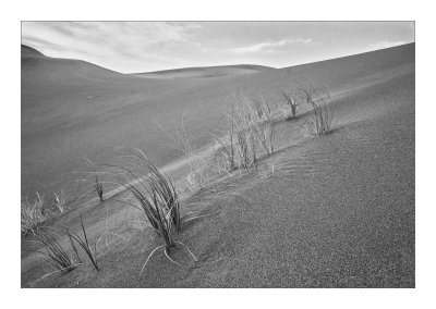  Great Sand Dunes National Park 