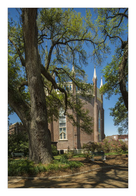  St. Mary's Cathedral, Natchez, Ms