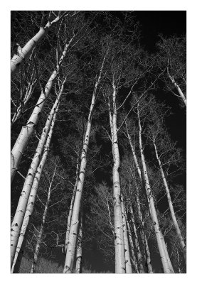 Aspens of Boulder Mountain 