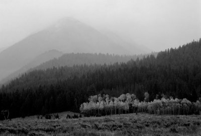 Montana 2008