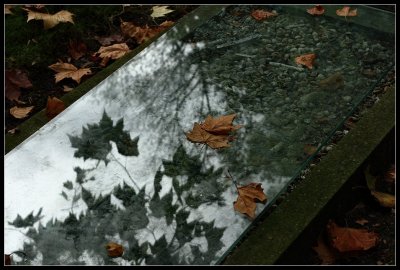 g9/70/69970/3/164291566.aWtXojcS.jpg