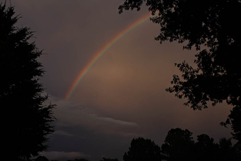 Rainbow