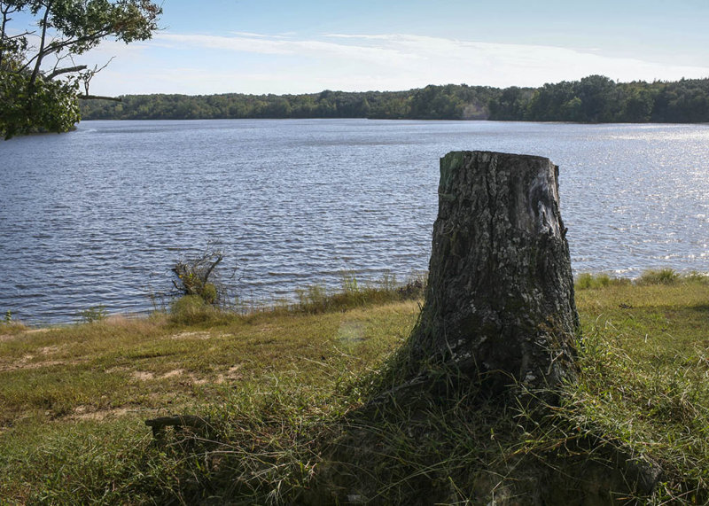 Whiteville Lake