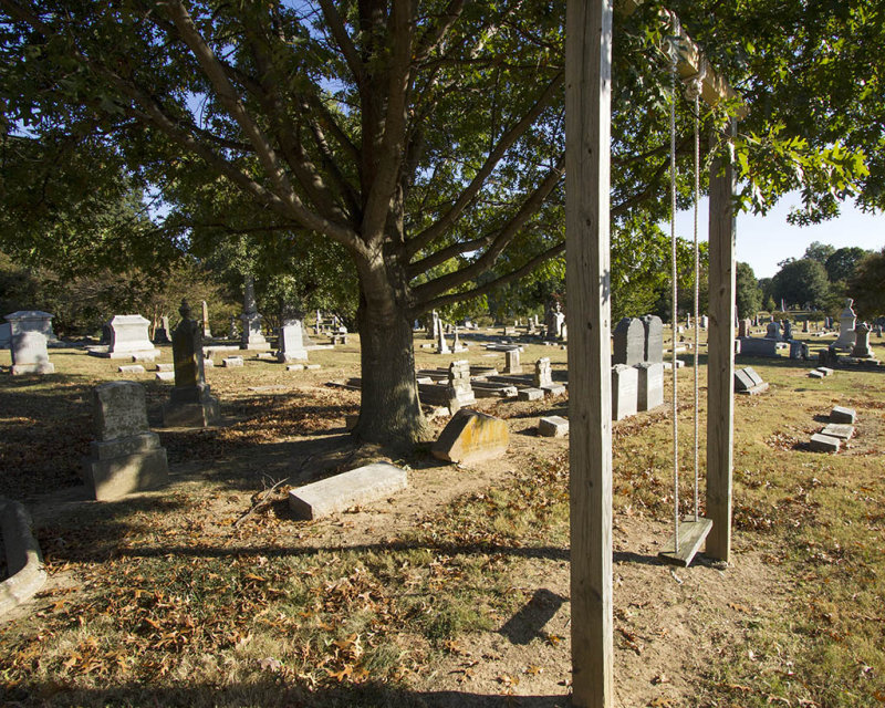 Elmwood_2