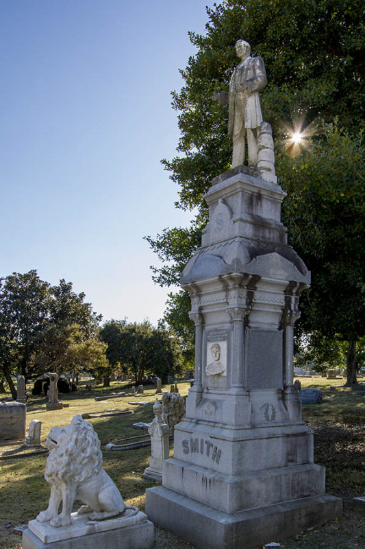 Elmwood_3