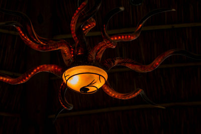 Chandelier at the zoo