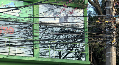 Sao Paulo Window