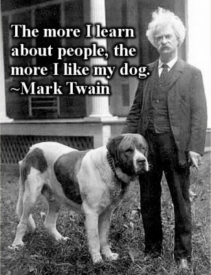 like my dog.jpg