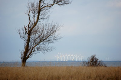 Hindsholm landscapes - Funen Island Denmark