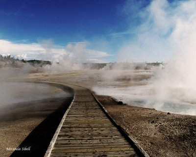 yellowstone-boardwalk