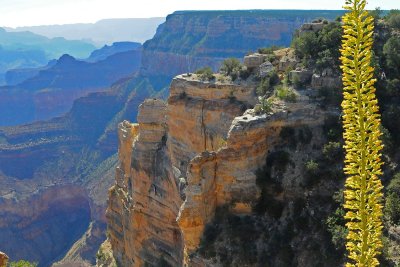 The Grand Canyon