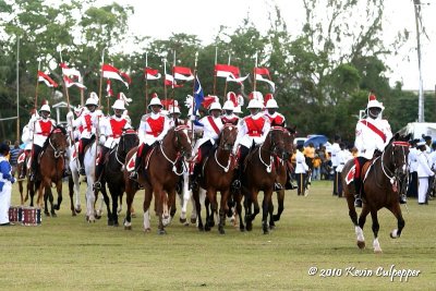 Royal Barbados Police Force Mounted Division