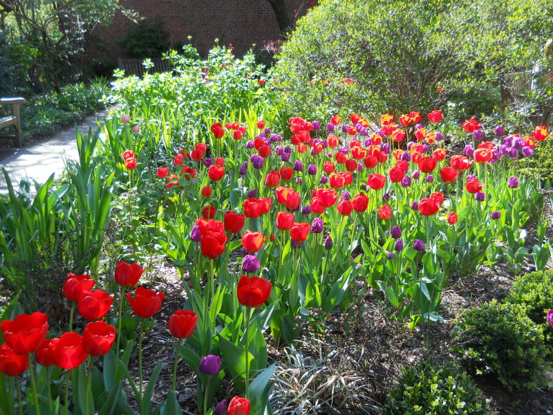 Dscn3709.jpg