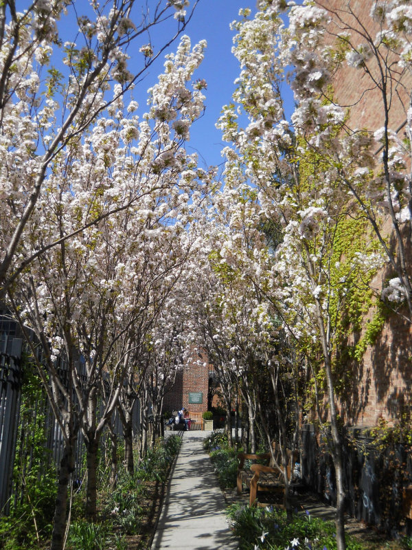 Dscn3716.jpg