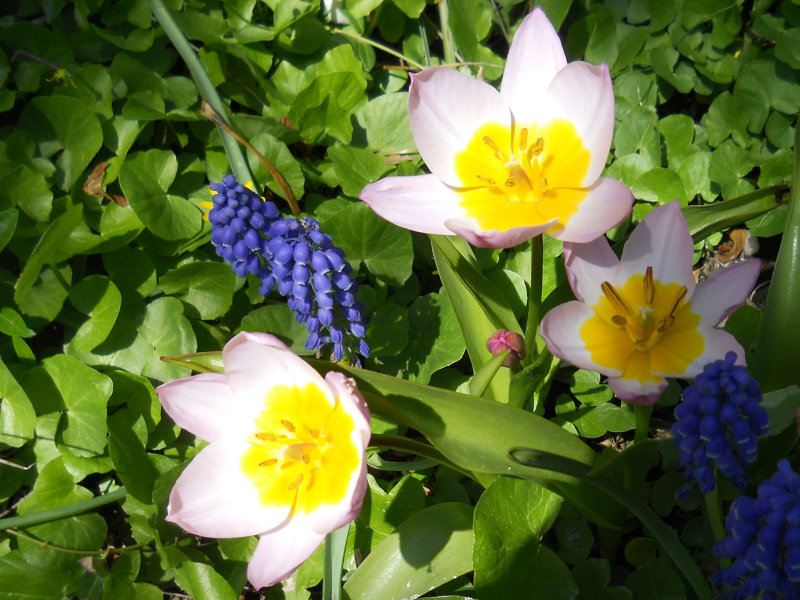 Dscn3724.jpg