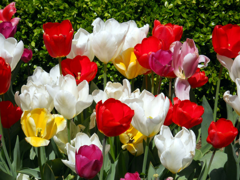 Dscn3731.jpg
