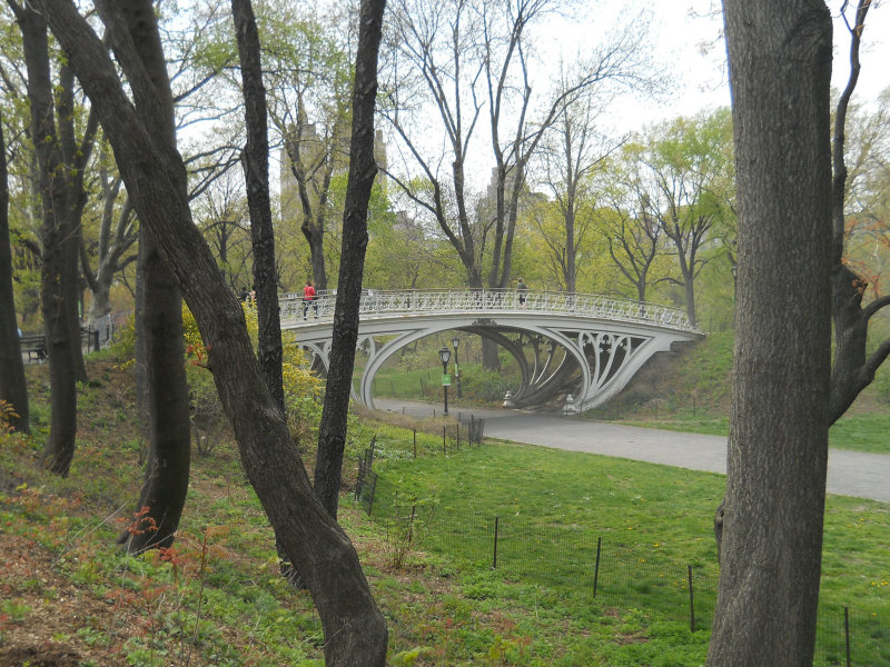 Dscn3755.jpg
