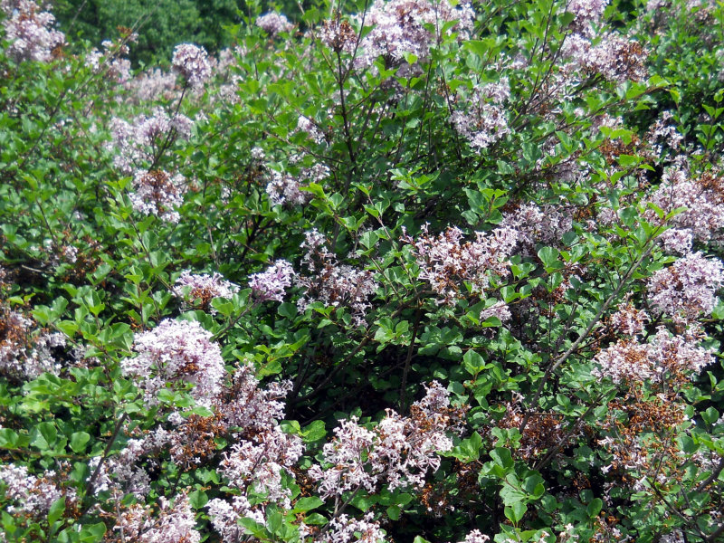 Dscn3869.jpg