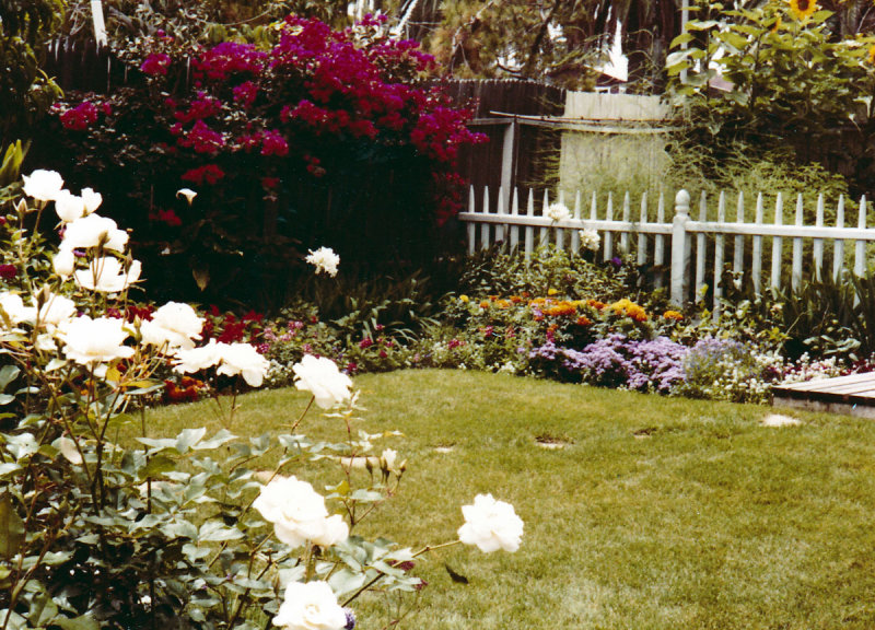 1314 Cabrillo Backyard 01.jpg