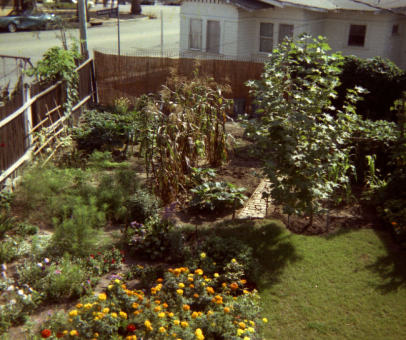 1314 Cabrillo Backyard 06 from neg.jpg