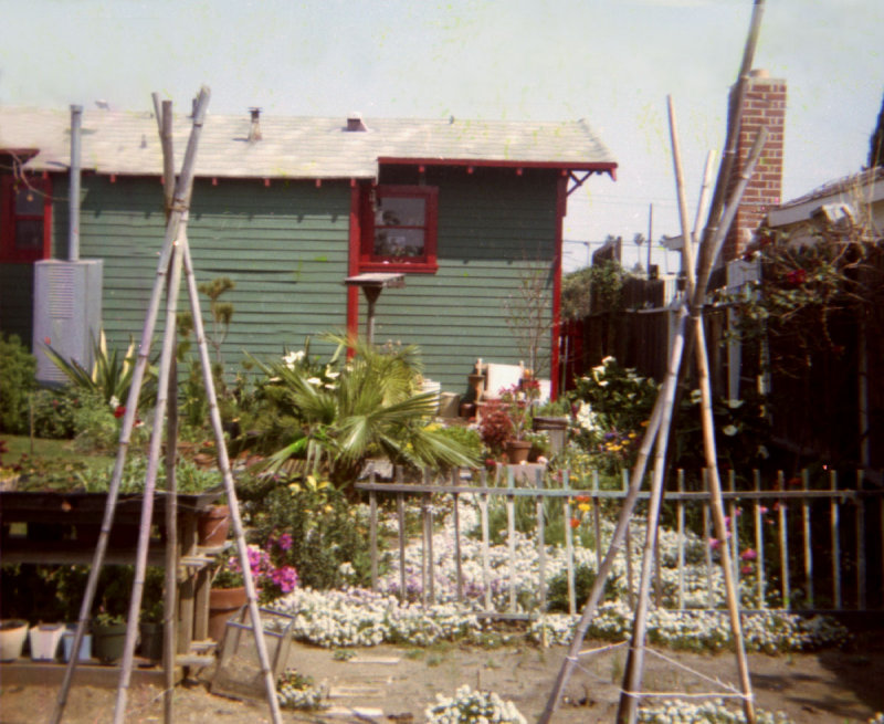 1314 Cabrillo Backyard 12 from neg.jpg