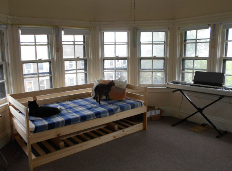 DSCN5520.jpg