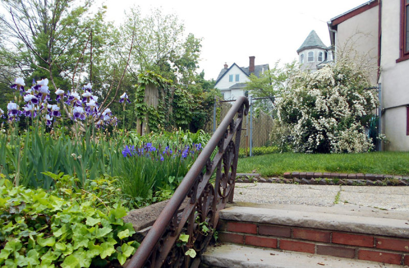 DSCN5523.jpg