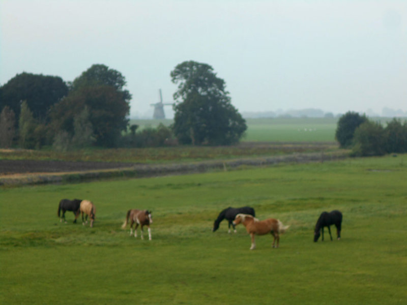 DSCN6480.jpg