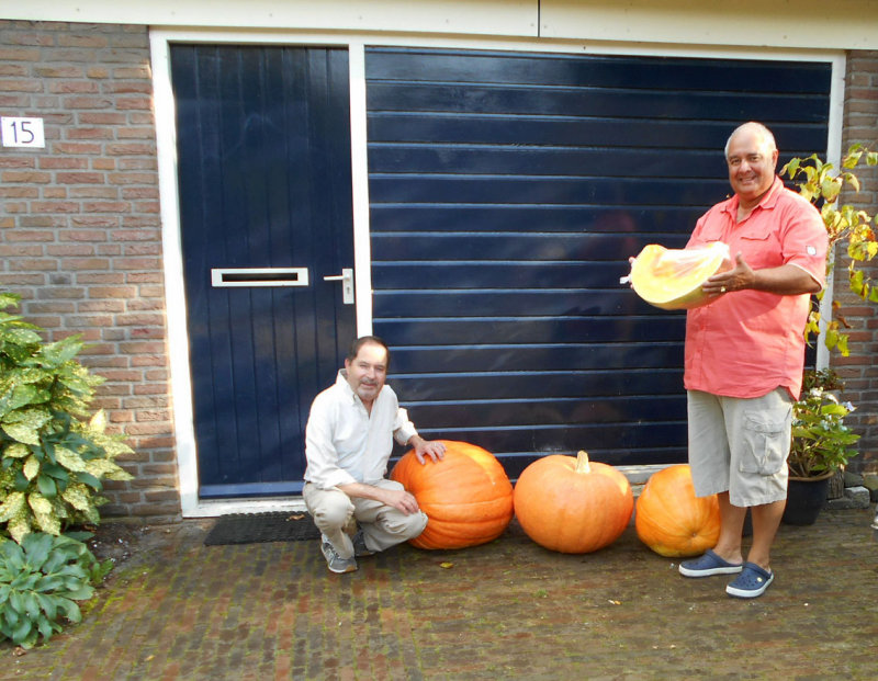 DSCN6522.jpg