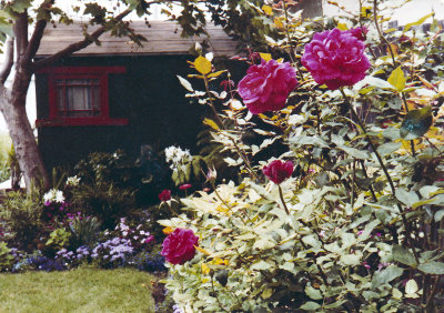 1314 Cabrillo Backyard 02.jpg