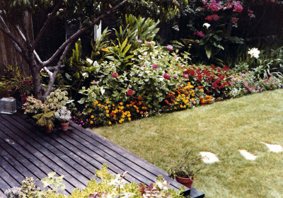 1314 Cabrillo Backyard 03.jpg