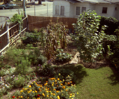 1314 Cabrillo Backyard 06 from neg.jpg