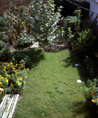 1314 Cabrillo Backyard 07 from neg.jpg