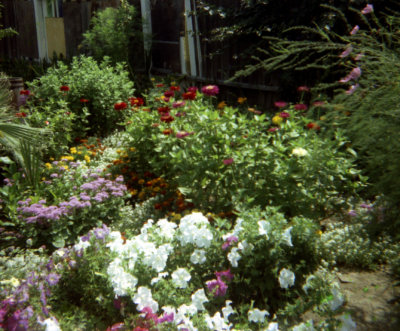 1314 Cabrillo Backyard 08 from neg.jpg