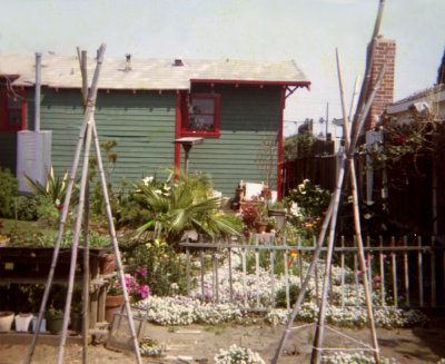 1314 Cabrillo Backyard 12 from neg.jpg