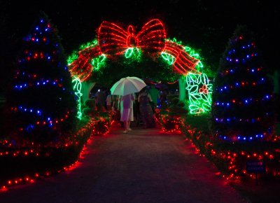 Night Lighting in the Hunter Valley Gardens in December