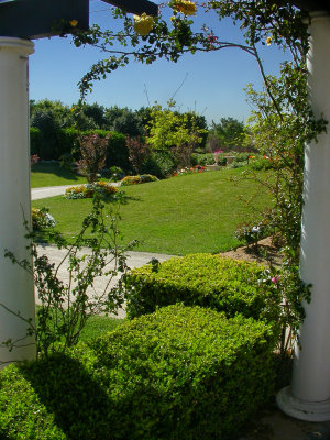 DSCN0603.jpg