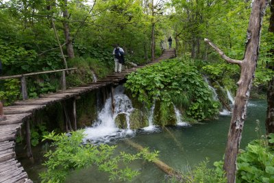 _DSC0670.jpg