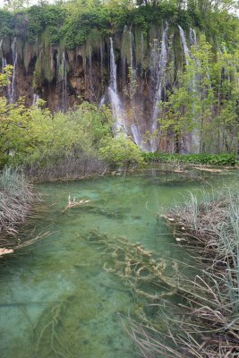 _DSC0674.jpg