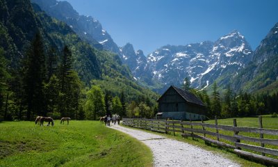 _DSC0826.jpg