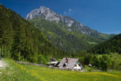 _DSC0829.jpg