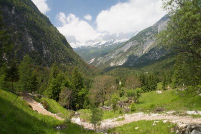 _DSC0894.jpg