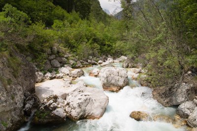 _DSC0906.jpg
