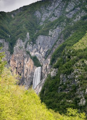 _DSC0919.jpg